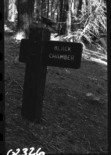 Signs, Black Chamber