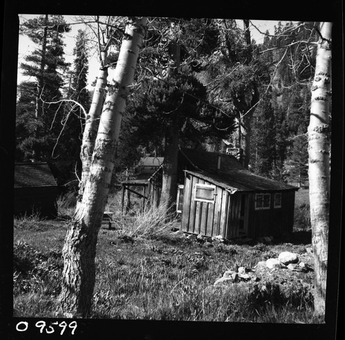 Mineral King, Mineral King Area Cabins, East Mineral King Tract