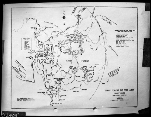 Maps and Graphics, Map, Giant Forest Trails