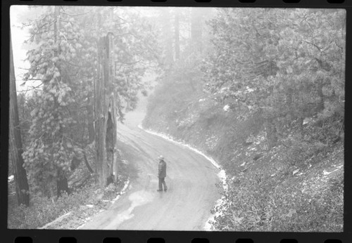 Aborglyphs. Witness Tree. J. Hartzell in photo. Near Camp Conifer. 770516. Compare with Negative No. 01888