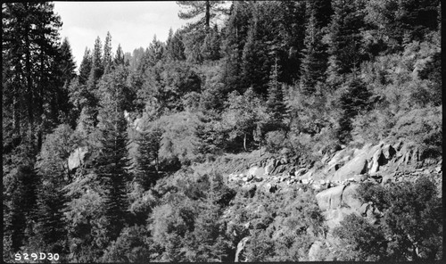 Construction, station 216 open spots in a mass of brush and young growth, typical of route in Panther Creek area. Trails, Mixed Coniferous Forest