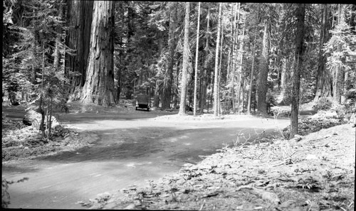 Roads, Vehicular Use, Moro Rock Loop Road at Moro Rock