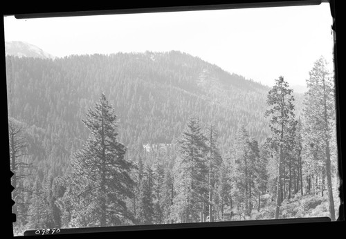 Redwood Mountain Grove, view across headwaters of Eshom Creek to Redwood Mountain