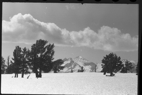 Kaweah Peaks from Boreal Plateau