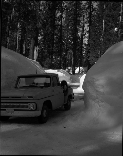 Record Heavy Snow, Record snows Giant Forest area