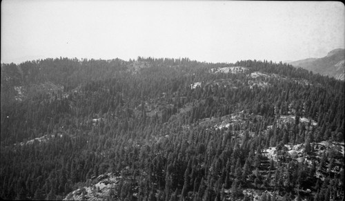 Ridges, Pine Ridge, view west, Mixed Coniferous Forest Plant Community, Type Map