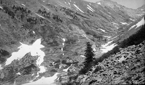 Subalpine Forest Plant community, 1 1/2 mile west of Black Rock Pass. 10,000' Type Map