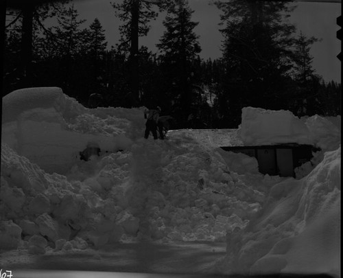 Record Heavy Snow, Record snows Lodgepole area. Ranger Workshop