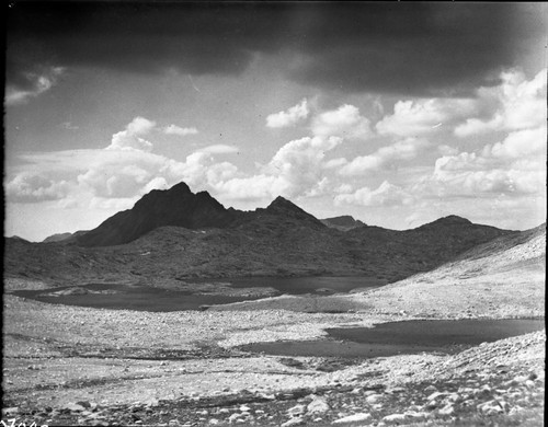 Meadow studies, NW toward Wanda Lake, permanent meadow photo plot study. Mt. McGee in background