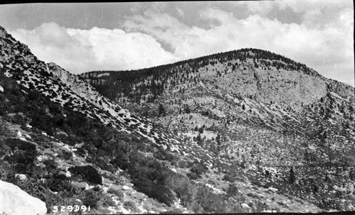 High Sierra Trail Investigation, Trail Routes, east towards Kern River showing proposed trail route along the east slope of the Kern