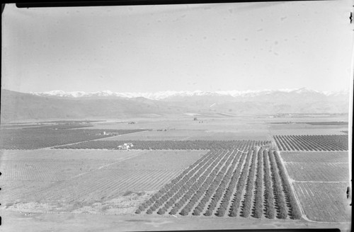 Hill north of Woodlake, Misc. Valleys, San Joaquin Valley and Sierra Nevada. Remarks: Good early valley photos of agriculture. Center panel of three panel panorama from Sand Creek to Blue Ridge. Farmi