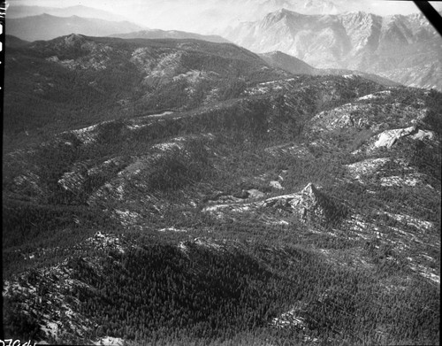 Meadow Studies, air photo, Sugarloaf and Williams Meadows, Field notebook pg 1109. Misc. Domes