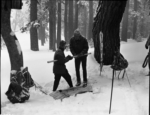 Snow Survey, Training session, Activities