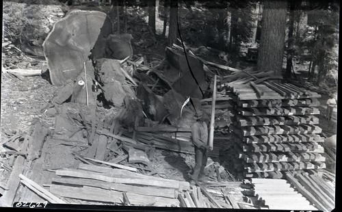 Logging, Cutting and stacking posts. Individuals unidentified, Emulsion damaged