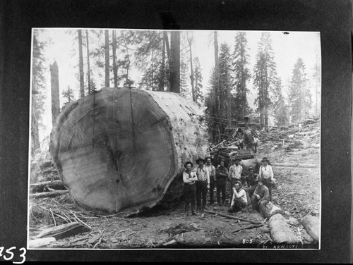 Logging, Donkey engines. Ca. 1907. Tender was Ed Bryant. Misc. Groups