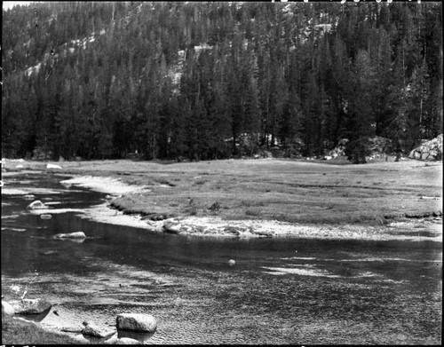 Meadow studies, Colby Meadow, permanent meadow photo plot study. Misc. Meadows