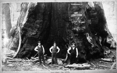 Historic Individuals, Misc Groups, Grant Tree visitors, Isreal Gamlin (center)