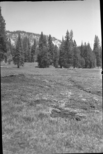 Meadow Studies, Misc. Resource Management Concerns From File D54 Erosion Control