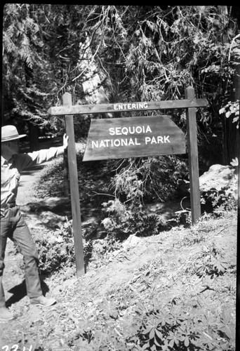 Signs, New park entrance sign