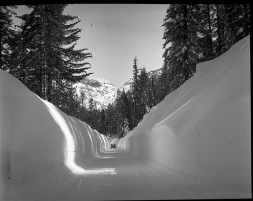 Winter Scenes, Generals Highway in snow. Vehicular Use