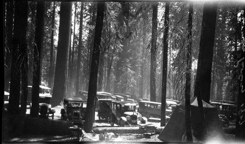 Vehicular Use, old cars in Giant Forest