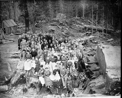 Comstock Basin, Giant Sequoia Stumps, Dean Stump, cut 1888