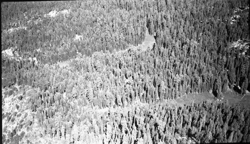 Crescent Meadow, with Log Meadow looking south east. Air photo