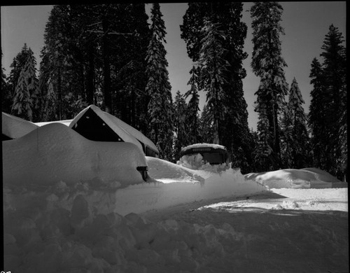 Record Heavy Snow, Record snowfall, Giant Forest