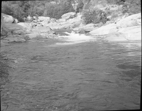 Middle Fork Kaweah River behind Headquarters