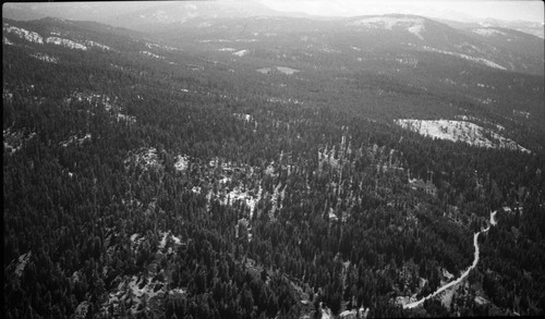 Misc. Meadows, Big Meadow, looking easterly, air photo. Shell Mountain in distance