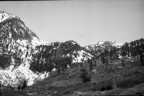 Misc. Valleys, Onion Valley, Subalpine Forest Plant Community