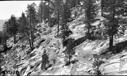 Construction, High Sierra Trail. Trails, Mixed Coniferous Forest