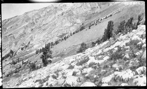 High Sierra Trail Investigation view west on trail to Lion Lake. Subalpine Plant Community