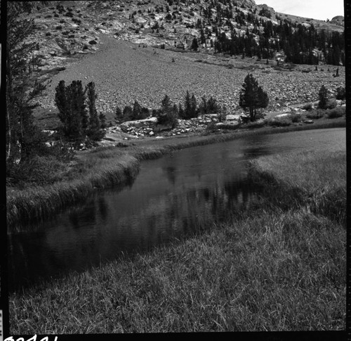 Misc. Creeks, Subalpine Meadow Plant Community South Fork Woods Creek