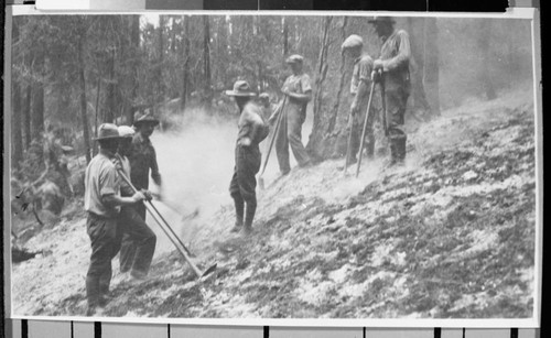 Wildland Fires, Muir Grove Fire