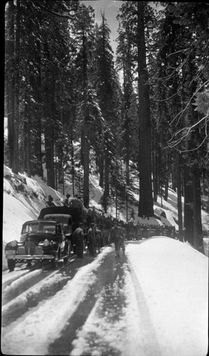 Sequoia Park, Military, Activities in Parks, Convoy Scenes. Giant Forest, near Sherman Tree