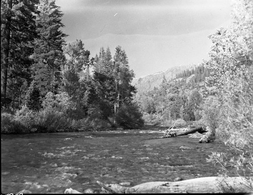 MIddle Fork Kings River