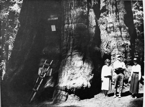 General Sherman Tree, individuals unidentified