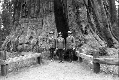 NPS Groups, Naturalist Staff, L to R: Powell, Been, Van Deest