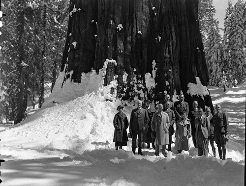 Misc. Groups, General Pershing and party at Sherman Tree. Col. John R. White