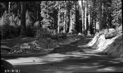 Roads, signs, General Sherman Tree Road