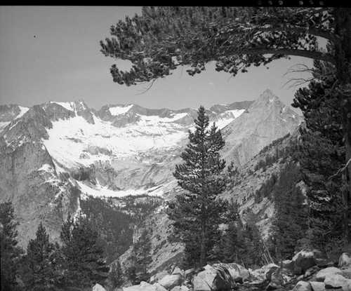 Misc. Divides, Lodgepole Pine; Black Divide from Bishop Pass Trail