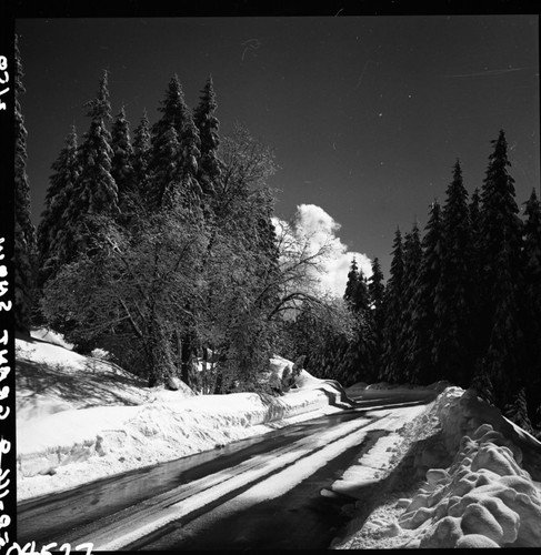 Winter Scenes, Generals Highway in snow