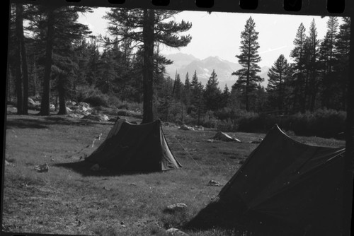 Camping, LItton Camp, Wallace Creek