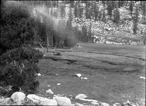 Meadow studies, Misc. Meadows, short feed badly trampled and broken. remarks: left panel of 2 negative panorama, Fig. 49A Armstrong Report. Light leak