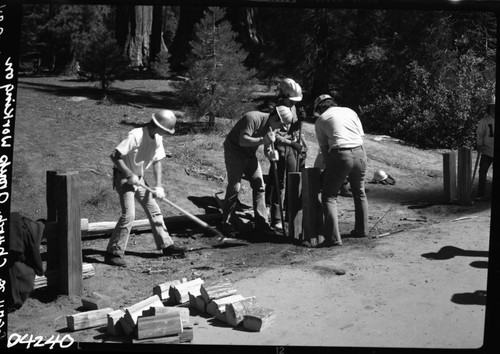 Construction, Misc. Groups, St. Pauls Lutheran Church, Fullerton, California volunteer laborers putting in first section of Grant Tree Trail