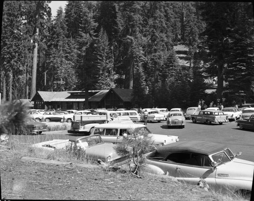 Vehicular Use, Labor Day weekend traffic, Giant Forest Village, Concessioner Facilities