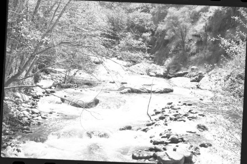 South Fork Kaweah River Canyon about Three Rivers, South Fork Kaweah River