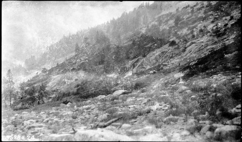 High Sierra Trail, Investigation, view west from Lone Pine Meadow (foggy). Trail Routes