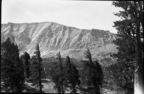 Misc. Geology, Avalanche Chutes, Subalpine Forest Plant Community